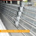 Hot Galvanized Steel Verstärkungsdraht ein Frame Chicken Layer Cage